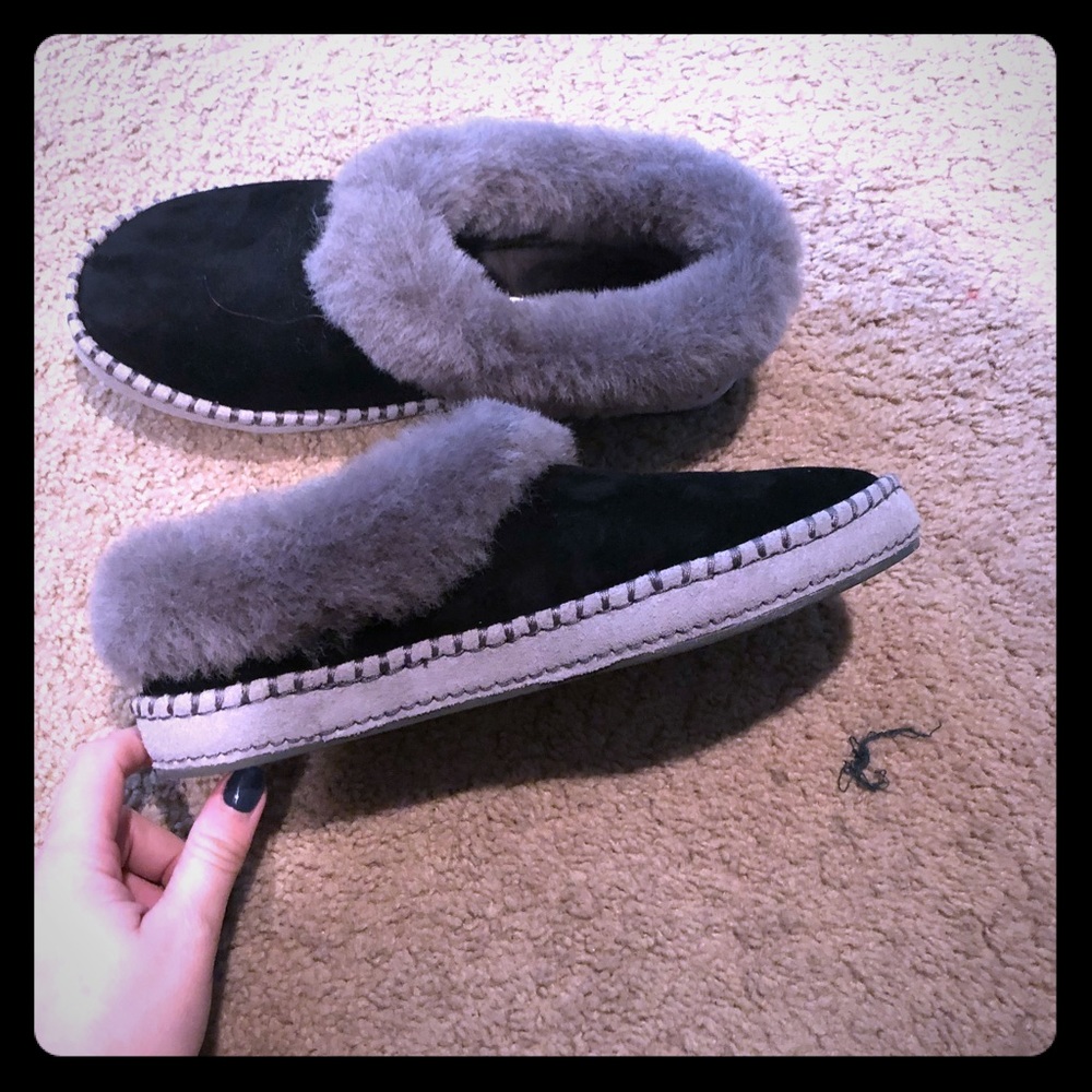 UGG Slipper